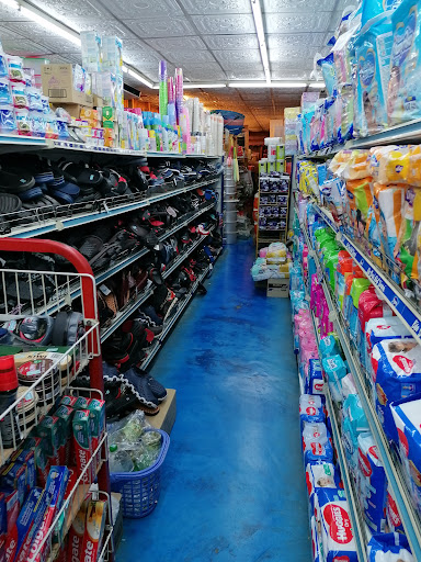 Gecko Mini Market